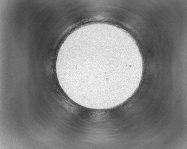 X0000071351314200607071714