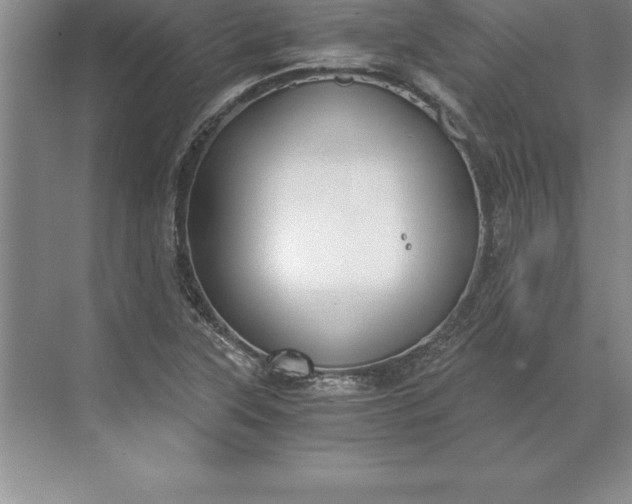 X0000071351315200607071714