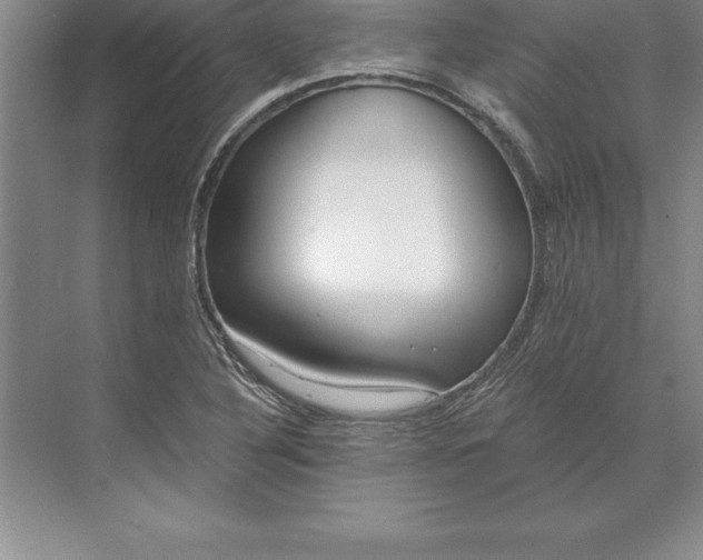 X0000071351316200607071714