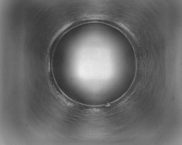 X0000071351317200607071714