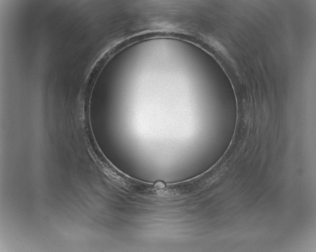 X0000071351318200607071714