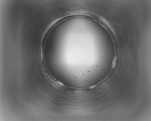 X0000071351320200607071714