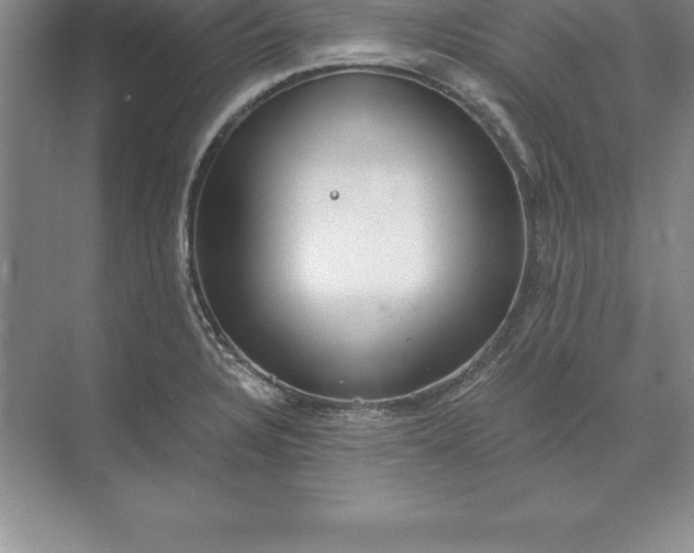 X0000071351328200607071714