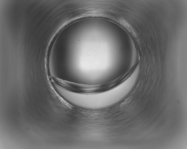 X0000071351334200607071714