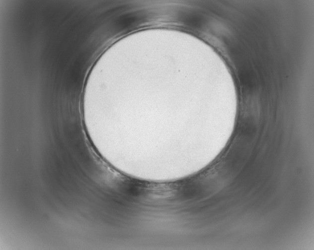 X0000071351338200607071714