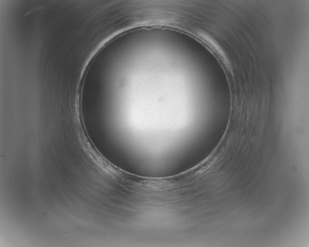 X0000071351340200607071714