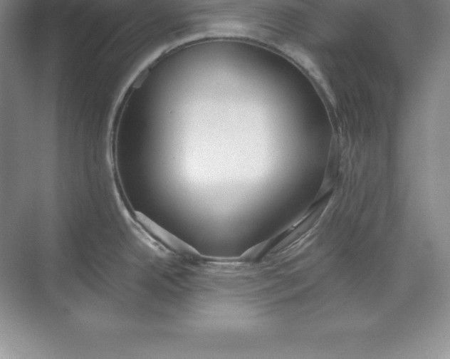 X0000071351342200607071714