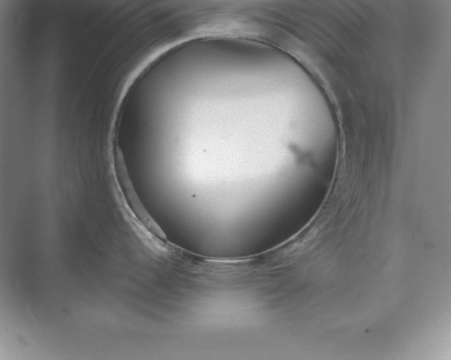 X0000071351344200607071714