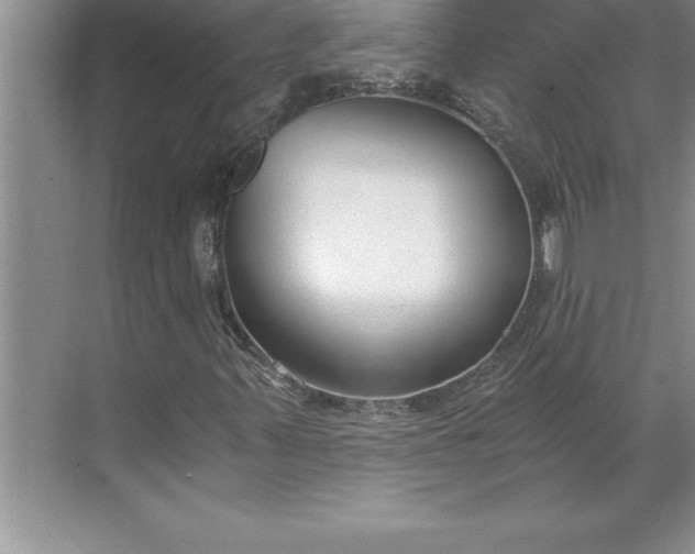 X0000071351347200607071713