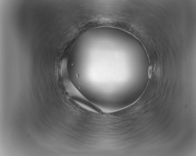 X0000071351348200607071713