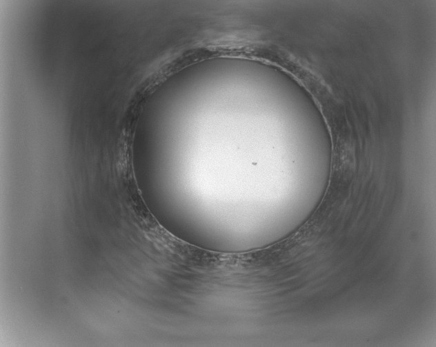 X0000071351350200607071713