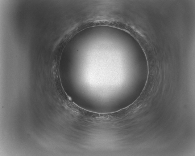 X0000071351351200607071713