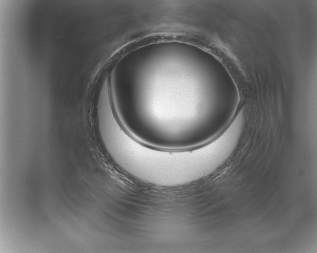 X0000071351352200607071713