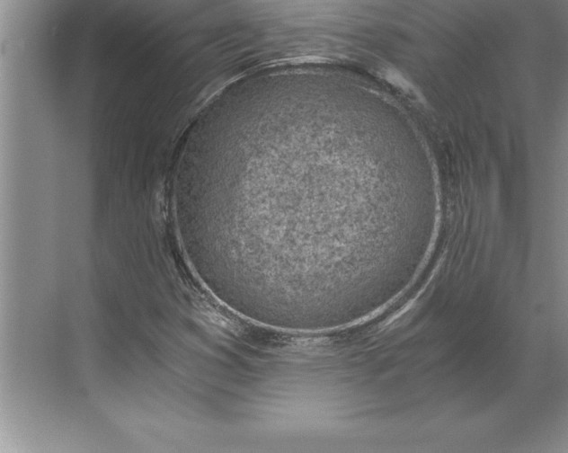 X0000071351353200607071713