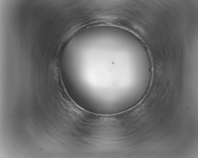 X0000071351354200607071713