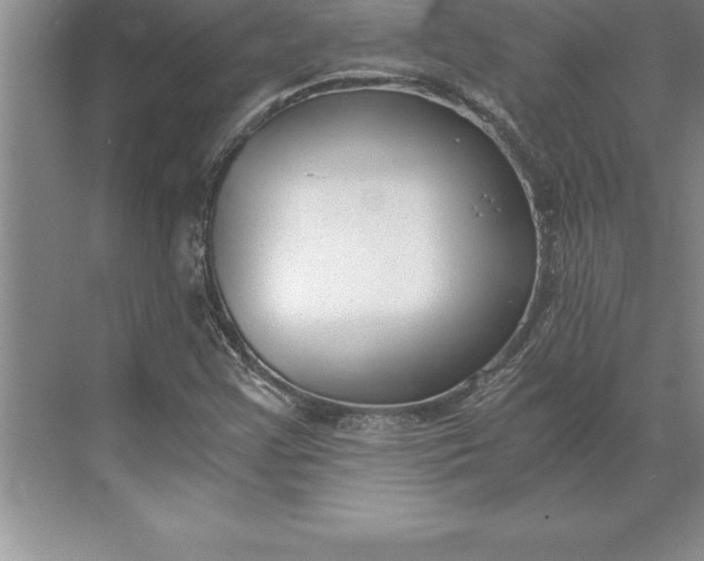 X0000071351355200607071713