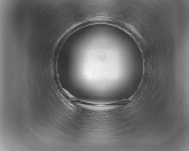 X0000071351356200607071713