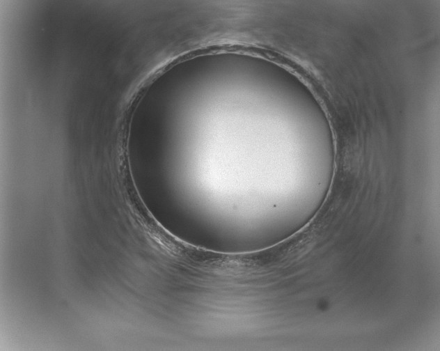 X0000071351359200607071713