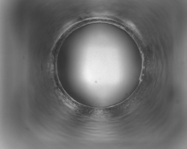 X0000071351360200607071713