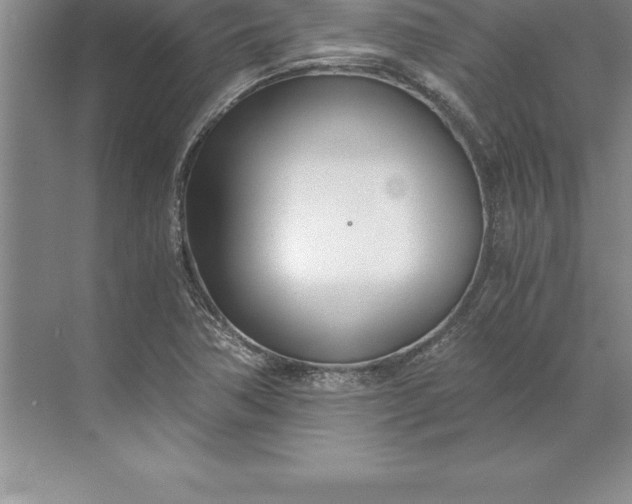 X0000071351362200607071713