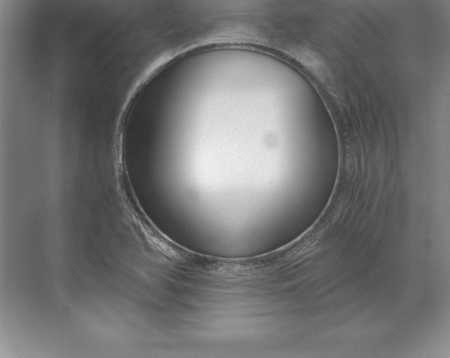 X0000071351366200607071713