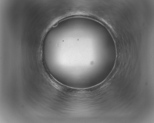 X0000071351367200607071713