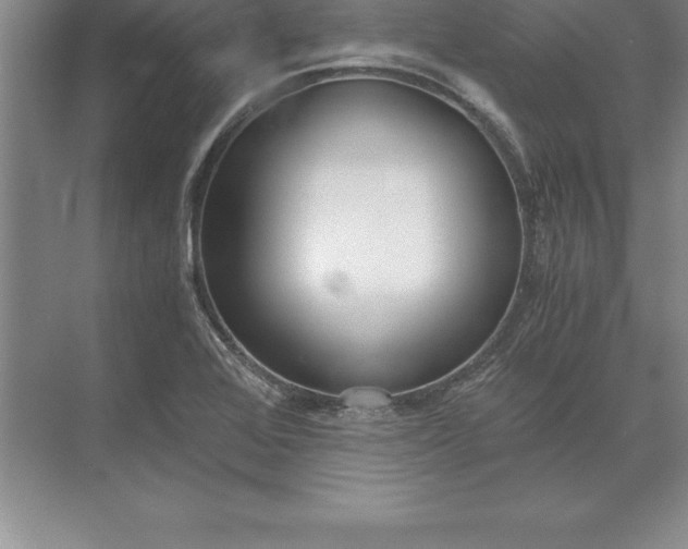 X0000071351368200607071713