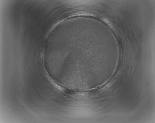 X0000071351369200607071713