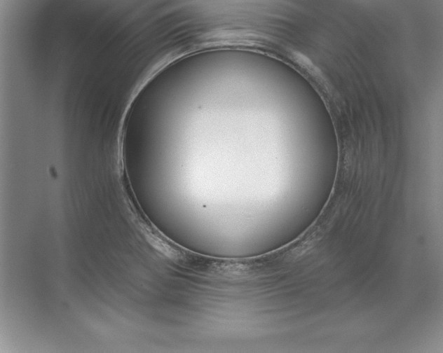 X0000071351370200607071713