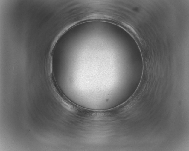 X0000071351371200607071713