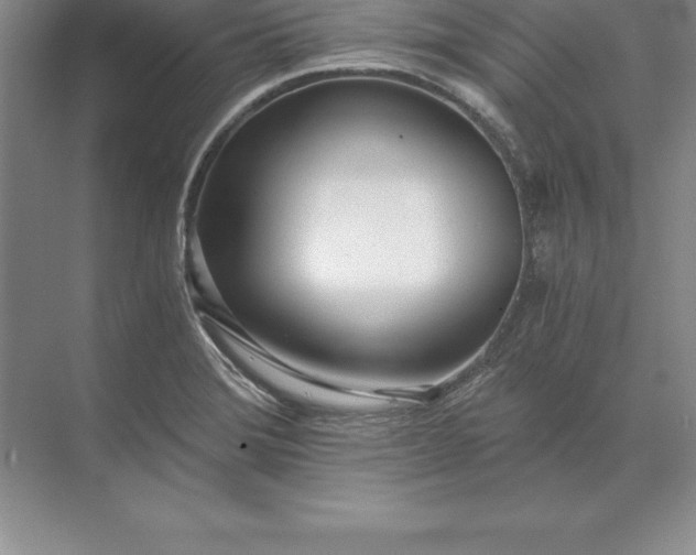 X0000071351372200607071713