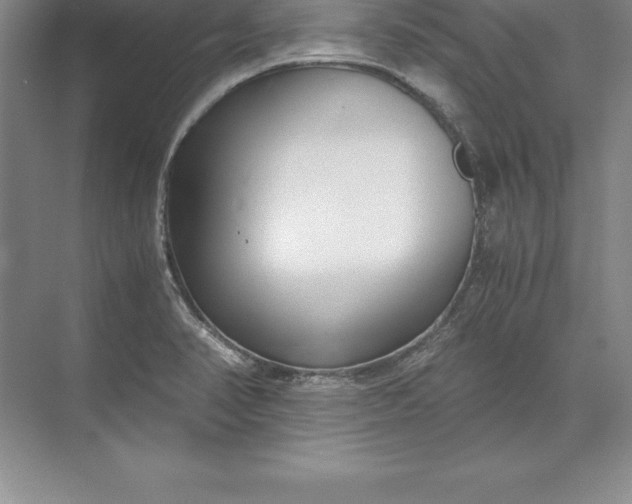 X0000071351374200607071713