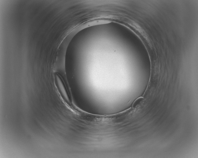 X0000071351377200607071713