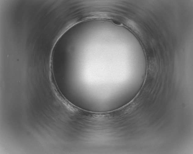 X0000071351378200607071713