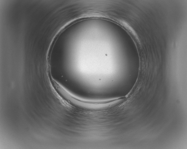 X0000071351380200607071713