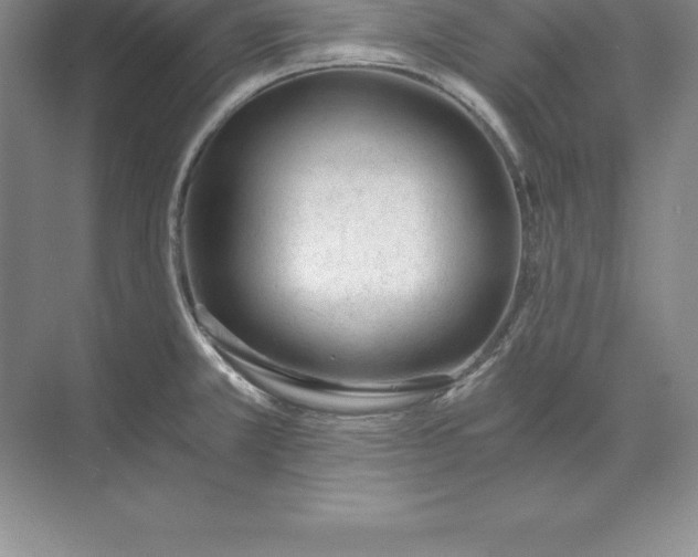 X0000071351381200607071713