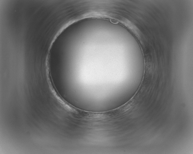 X0000071351382200607071713