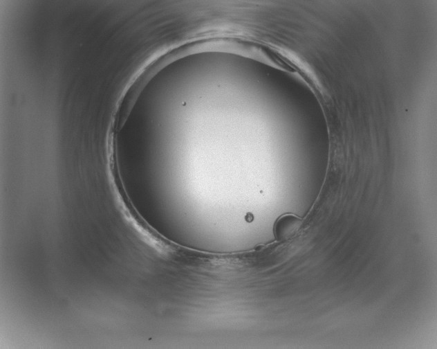 X0000071351383200607071713