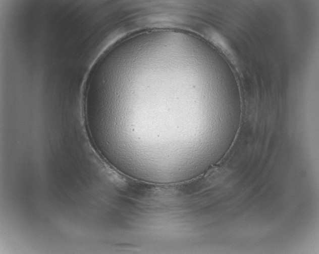 X0000071351384200607071713