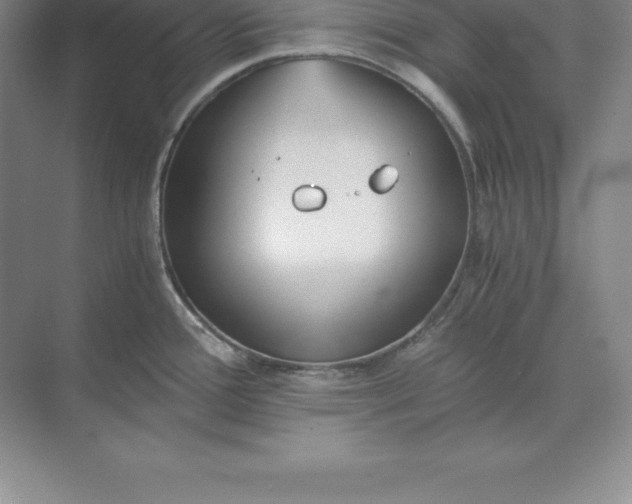 X0000071351388200607071713