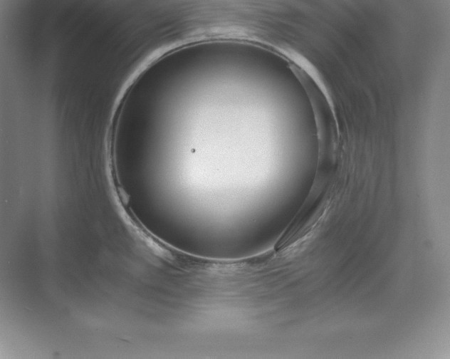 X0000071351389200607071713