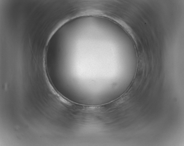 X0000071351390200607071713