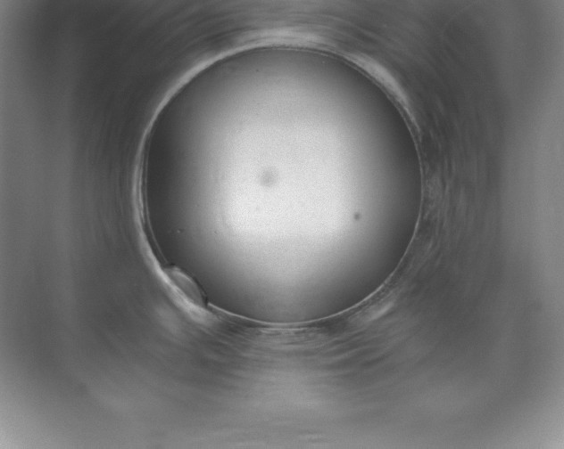 X0000071351391200607071713