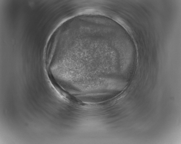 X0000071351392200607071712