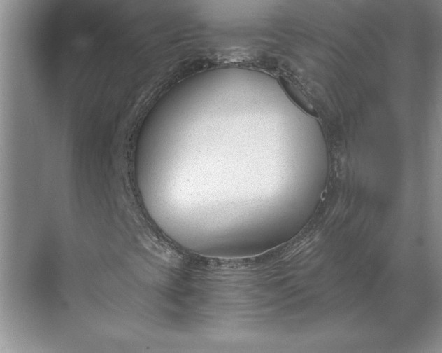 X0000071351393200607071712