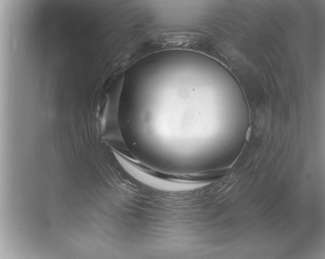 X0000071351394200607071712