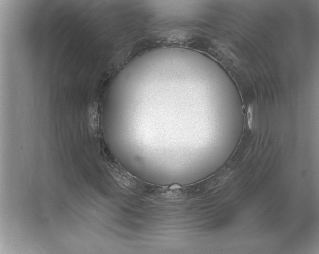 X0000071351395200607071712