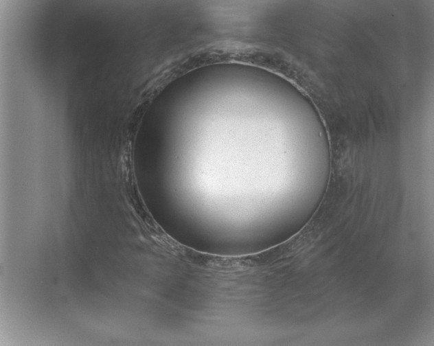 X0000071351397200607071712