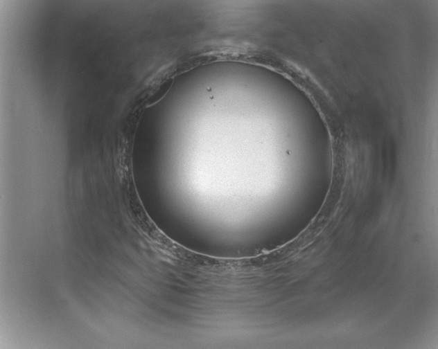 X0000071351399200607071712