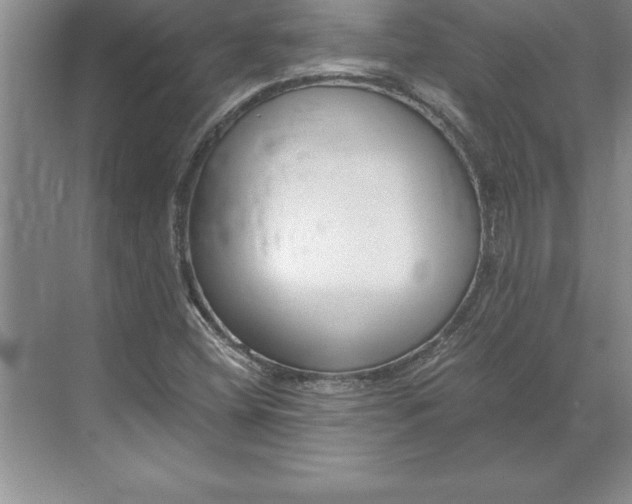 X0000071351404200607071712